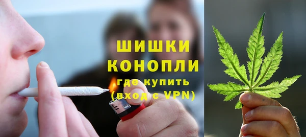 сатива Апатиты