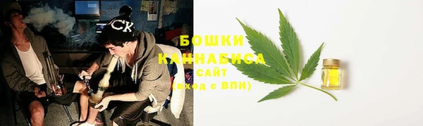 сатива Апатиты