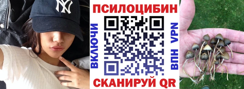 Галлюциногенные грибы Psilocybe Калач